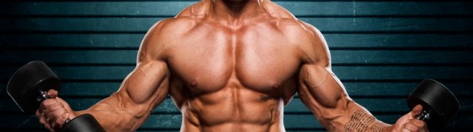Muscle Building Magazine